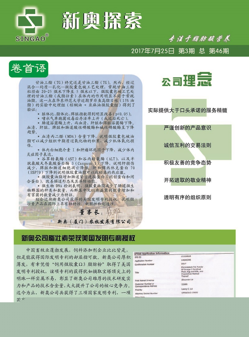 新澳门最准的四肖期期准,警惕虚假宣传-全面释义、解释与落实、精准解答解释落实